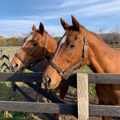 Rakan_LDN's profile picture. LFC⚽️/サウナ🌿/公営競技🐎/町ネパリ🇳🇵