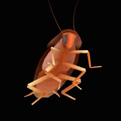 Dancing Roach🍉 Profile