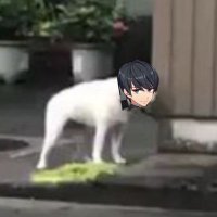 面！と鳴く犬 (@kirixtu_wlw) Twitter profile photo