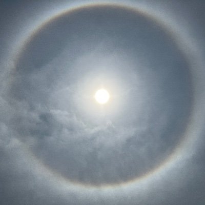 Yu_Su_Ke_Sun's profile picture. 