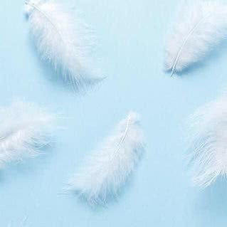 rio81ry's profile picture. 