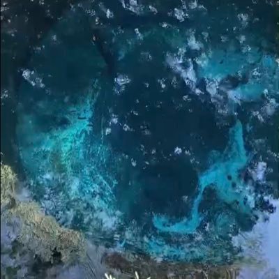 HC7LBcbWzyuEN8Y's profile picture. 