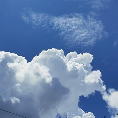 esteller2ribu's profile picture. akun baru yang lain ke suspend 🌻