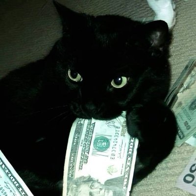 MZR Trades Profile