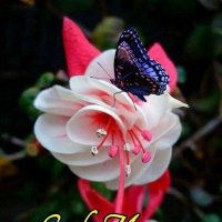 ritikagupta (@ritikagupta120) 's Twitter Profile