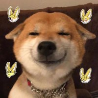 jay0x๐ (@jay_lich) 's Twitter Profile