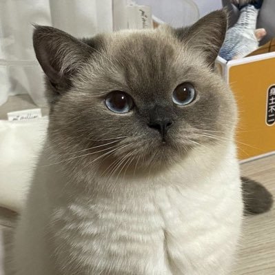 authopileme's profile picture. Hell is other people