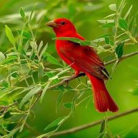 ENVIRONMENTALIST🇳🇵 (@enviromentalist) 's Twitter Profile
