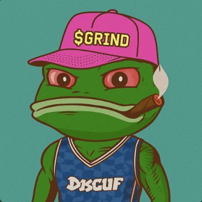 Wake up, buy jpegs, buy meme coins, have fun, repeat! Part-owner of @theplaguenft
