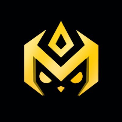 TFTAcademy Profile