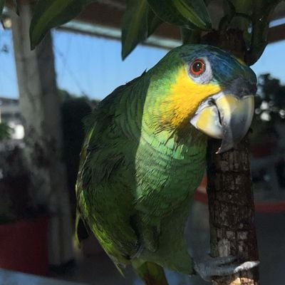 xaviandrade23's profile picture. 