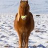 smeragliofan1's profile picture. The official Smeraglio fan page