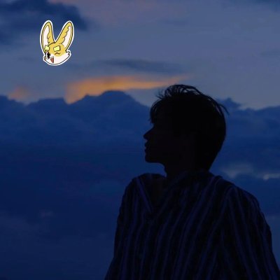 meganboyd13's profile picture. Sahara #0011811