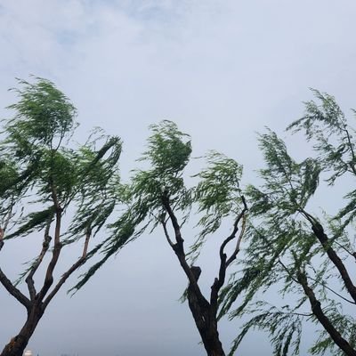 더불어민주당 권리당원