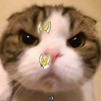 Lukitas Palma ❤️ Memecoin🔆 (@palmalukk) 's Twitter Profile