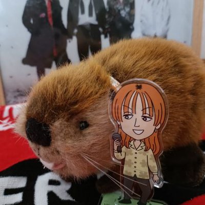 さな🦫🐫 (@beaverlovesana) / X