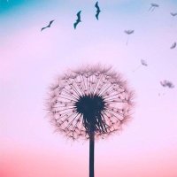 김수만 (@navy0706) 's Twitter Profile