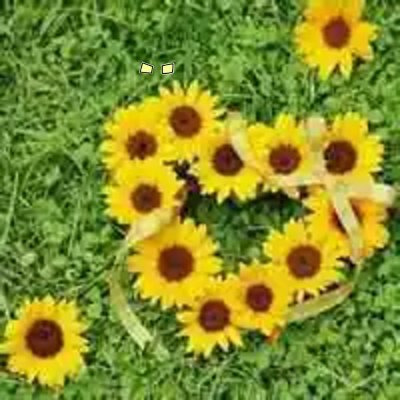 rika1722na's profile picture. 