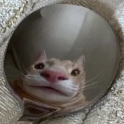 wbsbsteh3's profile picture. enjoy gamer