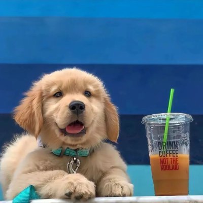 yngyfi925749's profile picture. 智者不入爱河 建设美丽中国