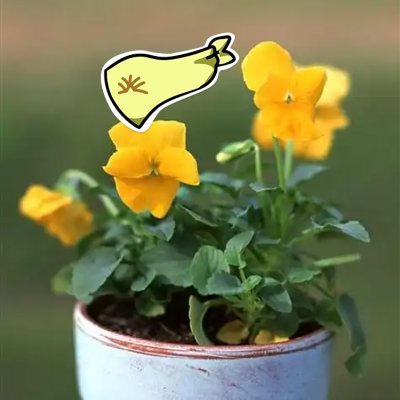 PrensessHatice's profile picture. 