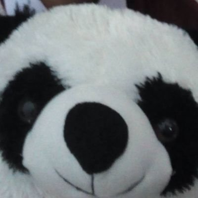 zldprn's profile picture. 