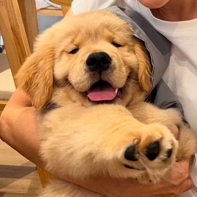 MaiNguyn1139140's profile picture. Yêu là cho đi mà không đòi nhận lại