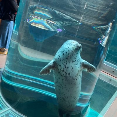 pome_928_'s profile picture. 北海道(十勝管内) / 職業:ドライバー / 無言フォロー失礼します / ラーメン・カラオケ・ドライブ / パークゴルフ初心者🔰(毎週末どこかでやってます)