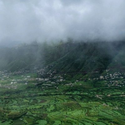 ntf042's profile picture. 