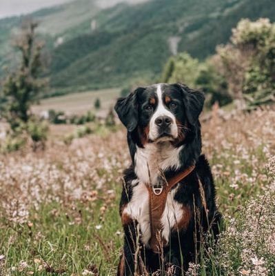 HafizurRah5891's profile picture. I want to YouTube channel start ing