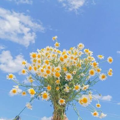 ⚡️さんのプロフィール画像