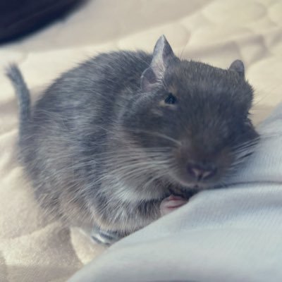 Maさんのプロフィール画像