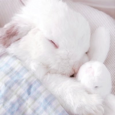 Bunnyy7777777's profile picture. 📓當日記本用 || 不看私信 不加聯繫方式
