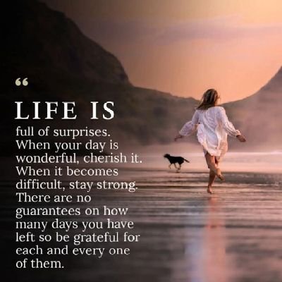 DonaldKevi11218's profile picture. Bitcoin official investment account