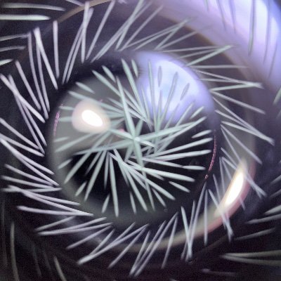 rlIStvARMl27287's profile picture. 