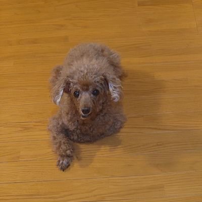 dai_1971's profile picture. 車と温泉と蕎麦が好きな五十路おやじです。 なんとなーく、身の回りのことや車のことをつぶやいています。よろしく(^.^)