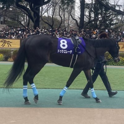 木原 灯璃(朱影)さんのプロフィール画像
