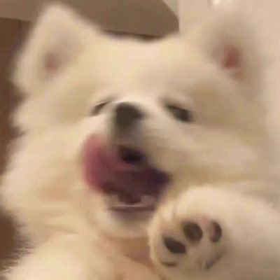 ksiwtjj's profile picture. 