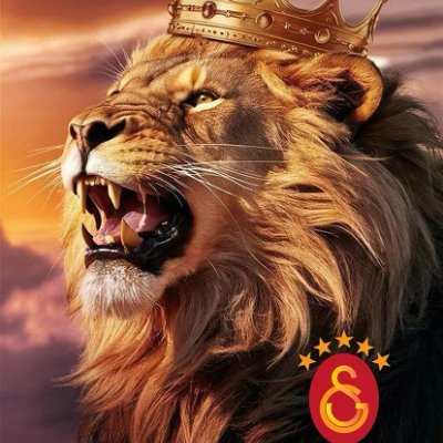SS1D18's profile picture. Sadece Galatsaray