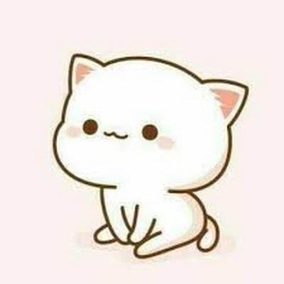 mao15364's profile picture. 