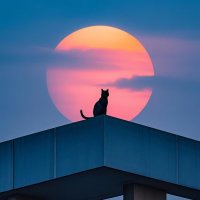 Xingjia Hu (@herry00777) 's Twitter Profile