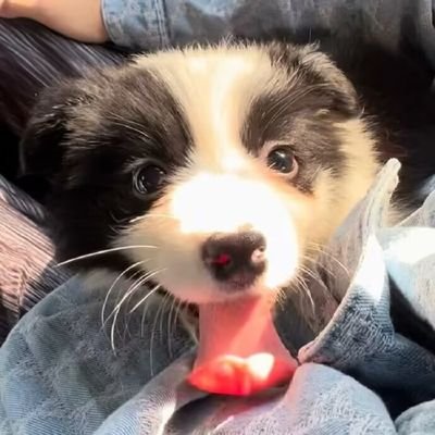 つかもとさんのプロフィール画像
