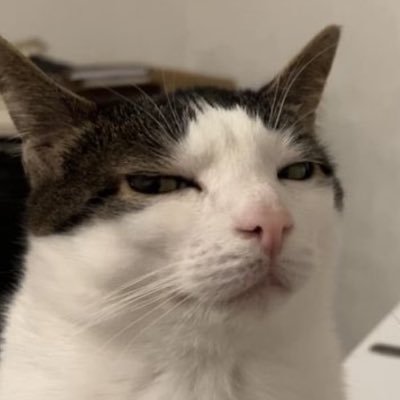 snaillol482's profile picture. 