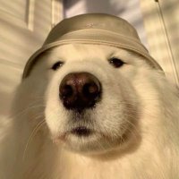 lucky (@sofkinglucky) 's Twitter Profile Photo lucky (@sofkinglucky) 's Twitter Profile Photo