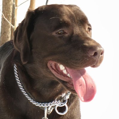 Lyne013962129's profile picture. 