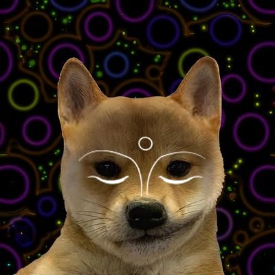 doghappyhour's profile picture. see a meme , see a world .
invest #MEMECOIN #NFT