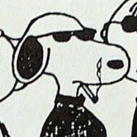 esnupi marie (@froggocyte) 's Twitter Profile