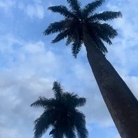 DS (@dansanttino) 's Twitter Profile