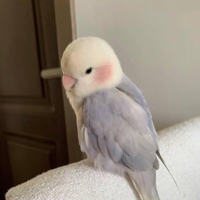 ๐ Profile