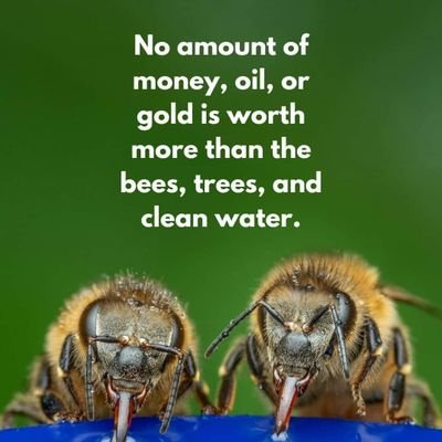 AmmarBashirUma1's profile picture. Ecologist with a love of Nature, Research, Teaching, critical thinking, and outdoor adventures